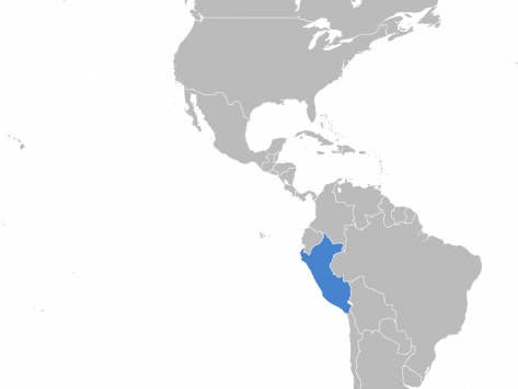 PERU - INDOOR SPORTS FLOORING